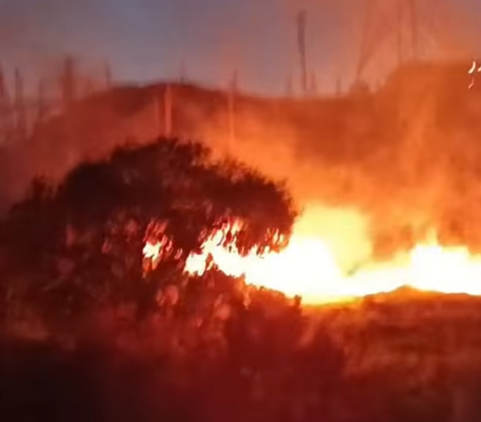 Um extenso incêndio em área de vegetação, que teve início próximo ao campo do Carrapato, na avenida Alberto Giovanini, bairro Bethânia, em Ipatinga, afe...