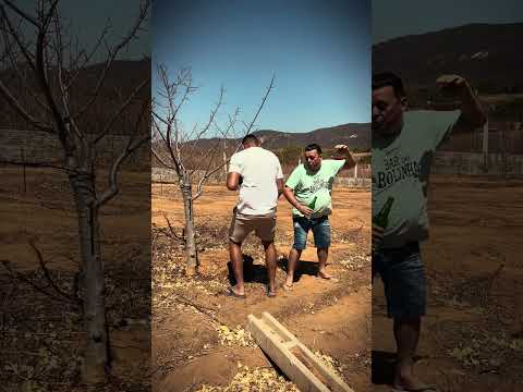 Chegou pra gente um conteúdo fresquinho, produzido por nossa produção, publicado em 09/10/2026. A gente não perdeu tempo e trouxe o conteúdo "Humor ines...