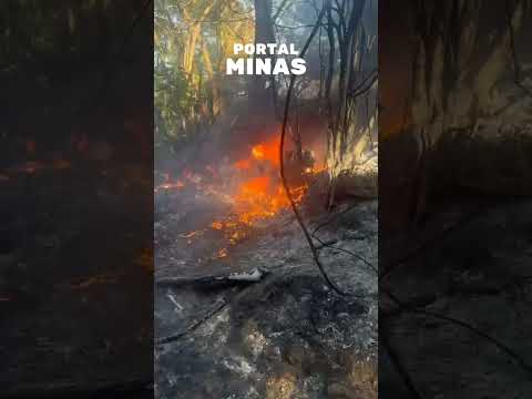 Pegamos esse conteúdo de nossa produção pra você não perder o que está rolando. A gente não perdeu tempo e trouxe o conteúdo "Queda de avião da PMMG: tr...