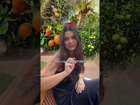 Conteúdo novo no pedaço! Produzido por nossa produção, com data de 21/09/2026. A gente não perdeu tempo e trouxe o conteúdo "De queijo a quitute: Cidade...