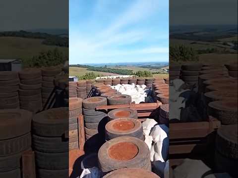 Reparamos nesse material de nossa produção e trouxemos pra você não perder. A gente não perdeu tempo e trouxe o conteúdo "Curral de Pneus: Material Reci...
