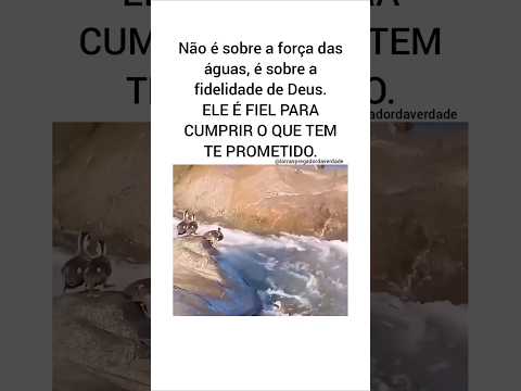 Atenção que esse material merece seu clique! Produção de nossa produção. A gente não perdeu tempo e trouxe o conteúdo "A aposta deu: confiança e lealdad...