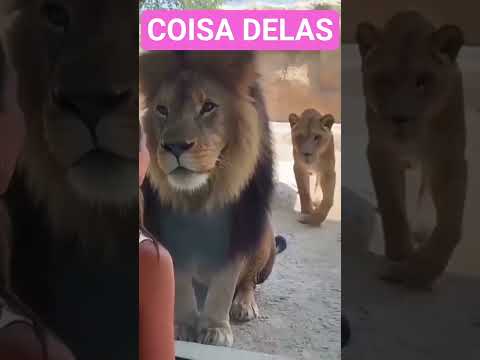Rolou esse material de nossa produção e a gente trouxe pra cá — porque aqui a gente não deixa passar. A gente não perdeu tempo e trouxe o conteúdo "O ci...