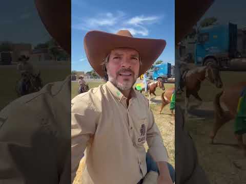 Chegou pra gente um material fresquinho sobre João Pinheiro MG, produzido por Gabriel Lener em 12/10/2026. A gente não perdeu tempo e trouxe o conteúdo ...