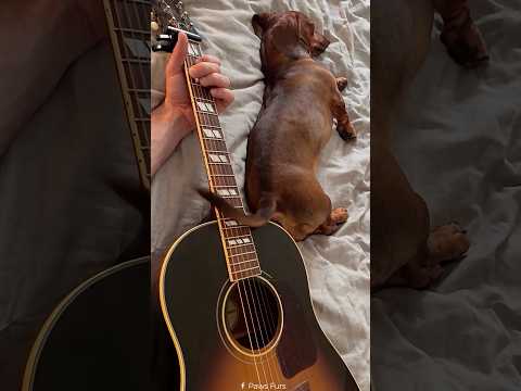 Mais um pra sua lista: nossa produção publicou um material que está chamando a atenção. A gente não perdeu tempo e trouxe o conteúdo "Ritmo e blues: a h...