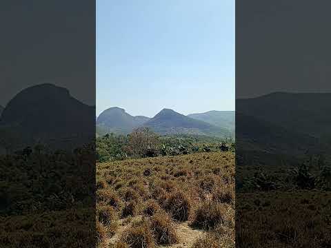 Mais um que merece play! Conteúdo de Clemente Alves de Amaral, fresquinho do dia 19/10/2026. A gente não perdeu tempo e trouxe o conteúdo "Minas Gerais:...