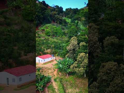 Mais um que merece play! Conteúdo de Alysson Ari, fresquinho do dia 20/10/2026. A gente não perdeu tempo e trouxe o conteúdo "Minas Gerais: Tradição e i...