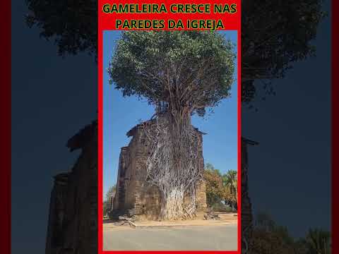 Separa um minutinho que esse conteúdo sobre Várzea da Palma MG vale a pena. Produção de ALOCSEESCOLA. A gente não perdeu tempo e trouxe o conteúdo "Várz...