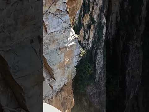 Mais um que merece play! Conteúdo de Montanha e Mato , fresquinho do dia 21/10/2026. A gente não perdeu tempo e trouxe o conteúdo "MInas Gerais: A Cacho...