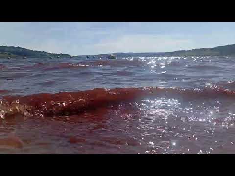 A Prainha de Nova Ponte MG emerge como um refúgio perfeito para quem busca lazer e contato com a natureza. Este registro do Portal Minas convida a explo...