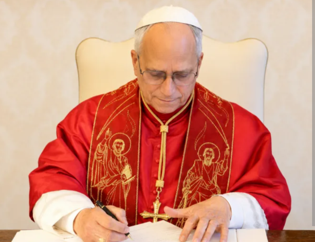 O Papa Leão XIV, de 71 anos, não necessitará de tratamentos adicionais após a cirurgia de câncer de pulmão realizada na semana passada. A boa notícia fo...