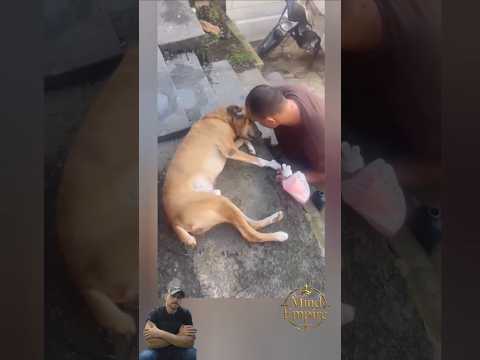 Em Minas, a felicidade genuína de um reencontro entre amigos