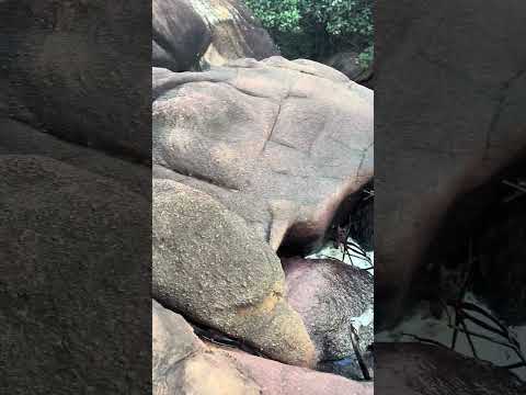 Catuji MG: beleza da cachoeira em registro exclusivo de Tiago Gil