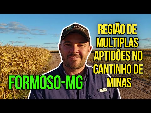 Formoso MG: Fazendas com terra fértil, plana e água abundante para projetos agrícolas.