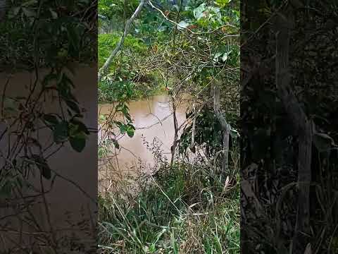 Encontro dos Três Rios: A beleza natural de Rio Vermelho MG