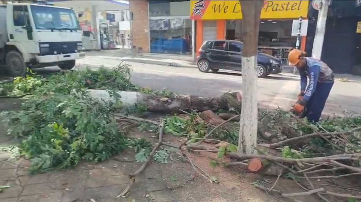 Temporal em Teófilo Otoni: Chuva intensa arrasta ponte, derruba árvores e causa destelhamentos em 24 de outubro