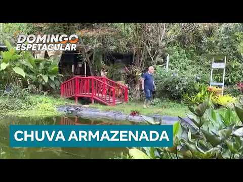 Virginópolis, MG: Geólogo aposentado transforma seca em oásis sustentável