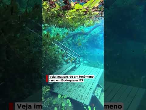 Fenômeno raro em Bodocena intriga moradores