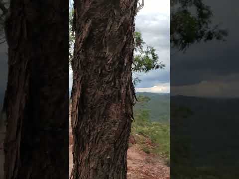 Cachoeira do Bananal: exuberância natural em Botumirim/MG