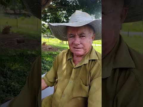 A roça de Paulo Pessoa em Passos MG: tradição e beleza rural